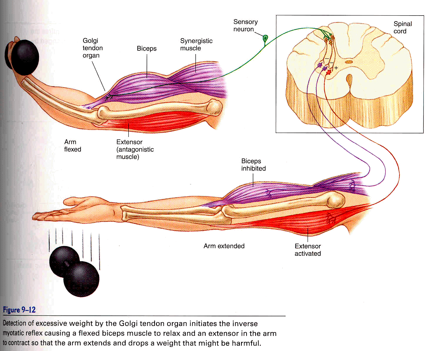 esquema rmi