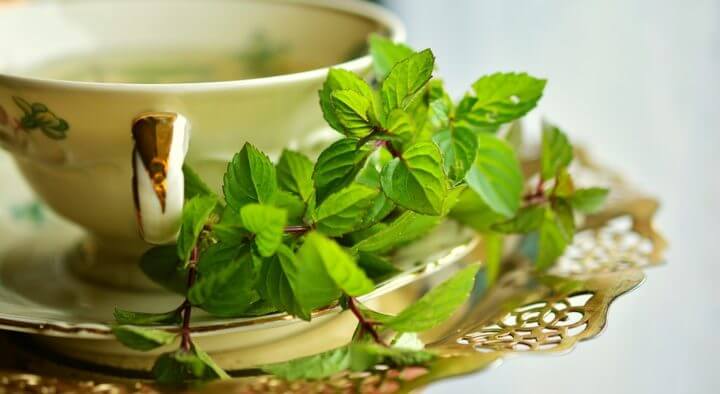 El té de menta puede ayudar contra las infecciones urinarias