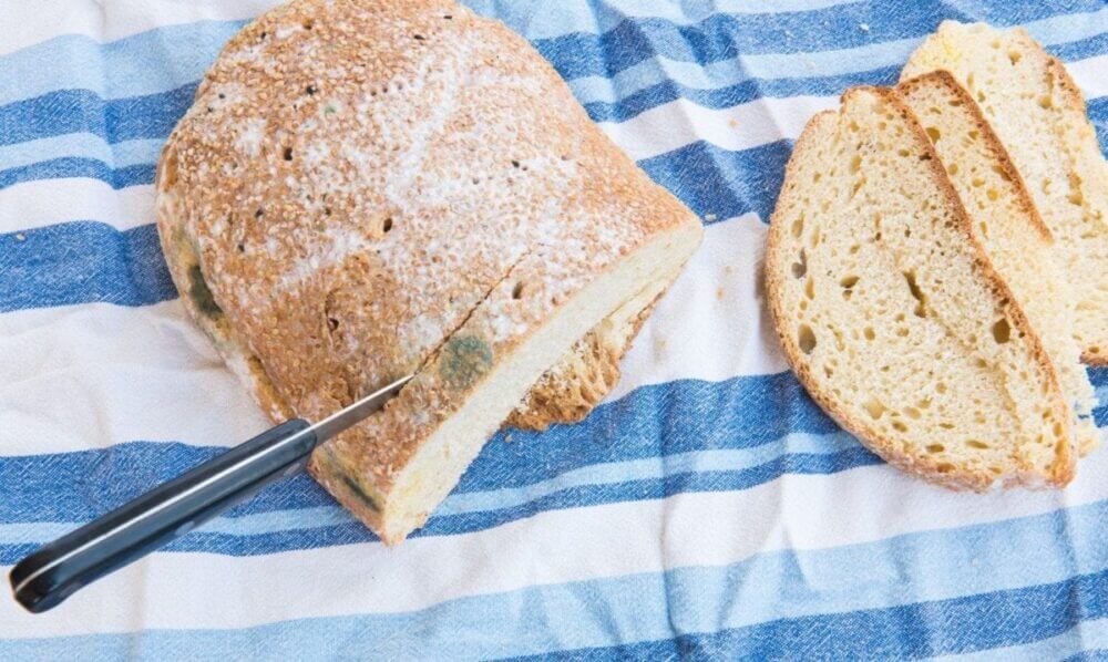 Comer pan mohoso