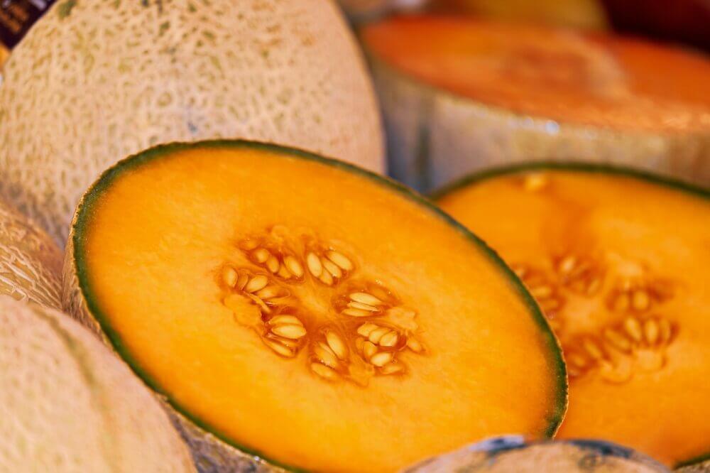 Melón nutritivo