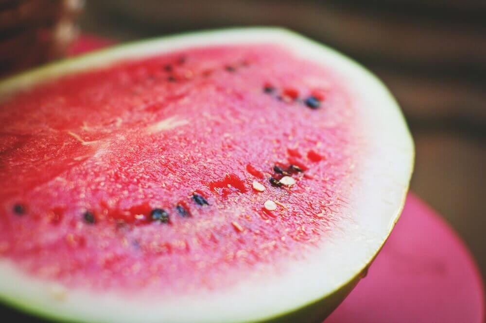 melón vs sandía