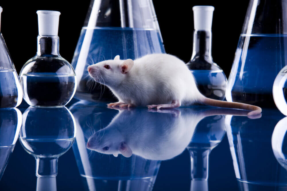 causa de la depresión podría ser los problemas intestinales