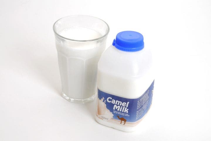 riesgos de la leche de camella
