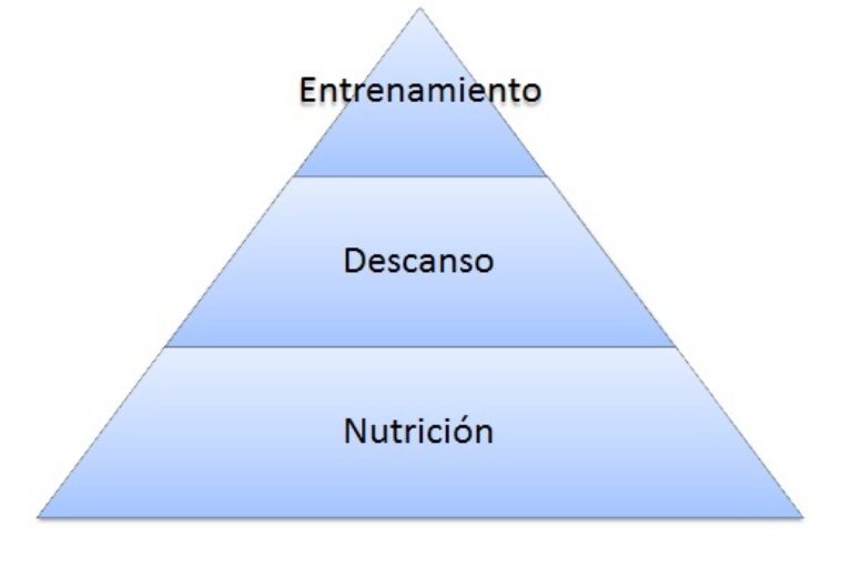 Diseña tu propia dieta