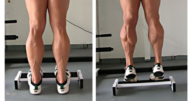 calves2legs.jpg