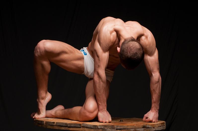 DEFINICION MUSCULO definicion musculo: