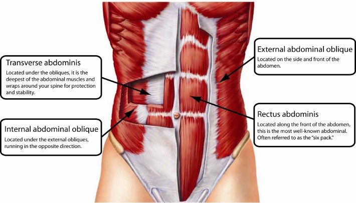 core abdominal entrenamiento