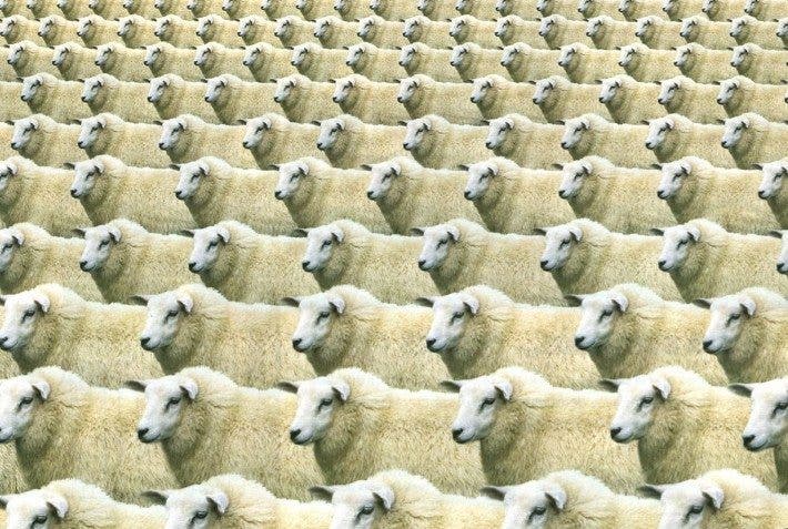 contar ovejitas