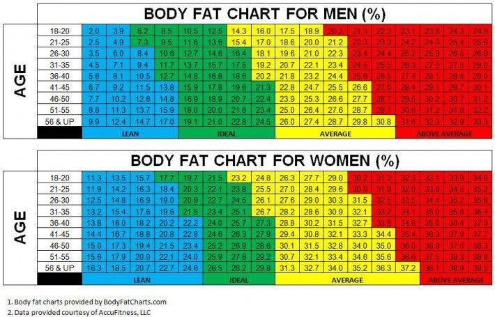 total body fat percentage definition