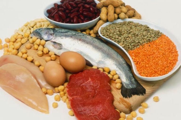 20 alimentos deliciosos ricos en proteína