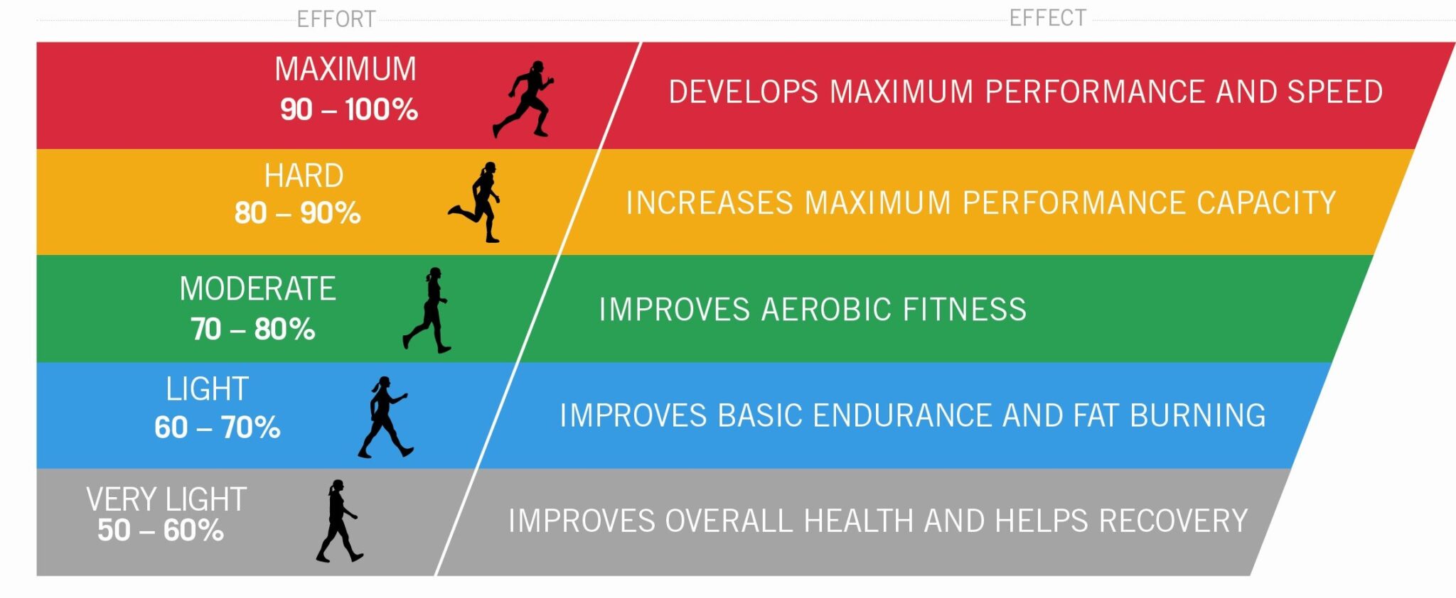 C mo Conocer Tu Frecuencia Card aca De Entrenamiento