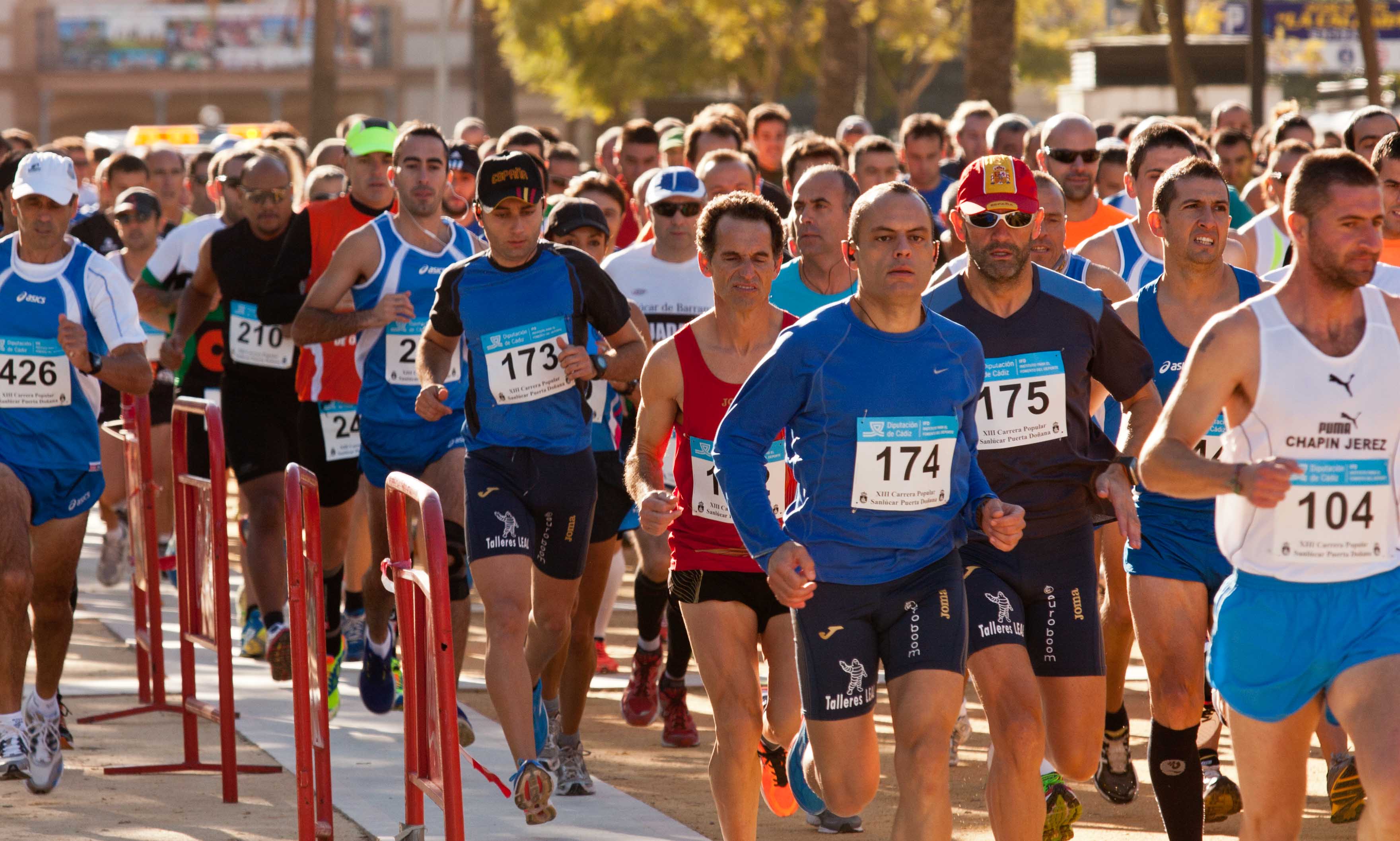 Los entrenamientos para media maratón más efectivos Entrenamiento