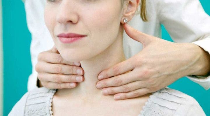 Effets de los goitrógenos sobre la tiroides