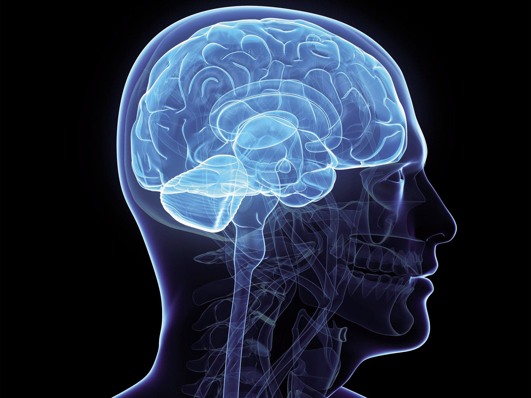 Brain imaging. Изображение мозга человека. Человеческий мозг картинки.