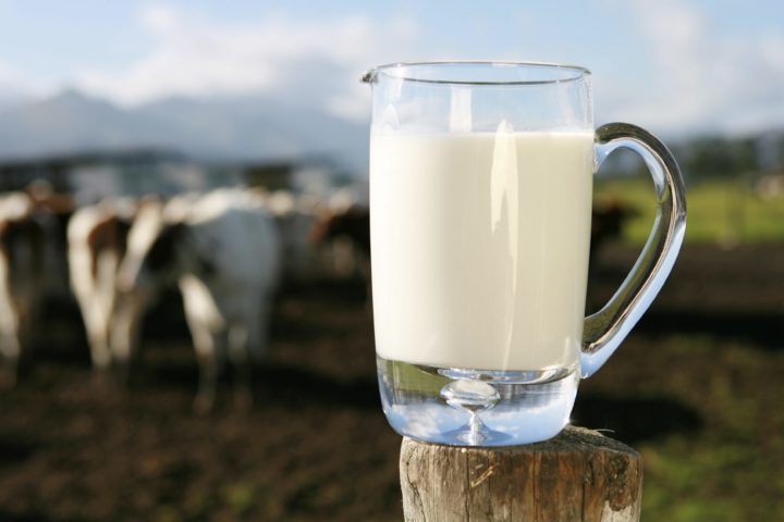 Resultado de imagen para leche  organicas