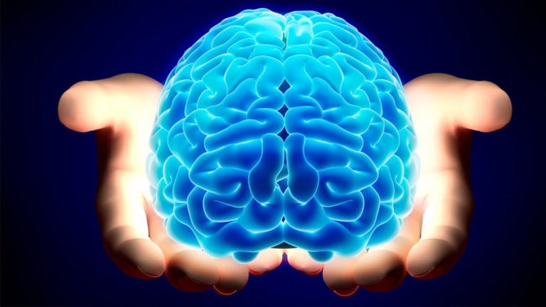 actividades físicas para mantener tu cerebro en forma