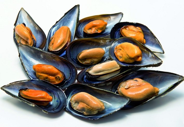 Mariscos seguros para bebés