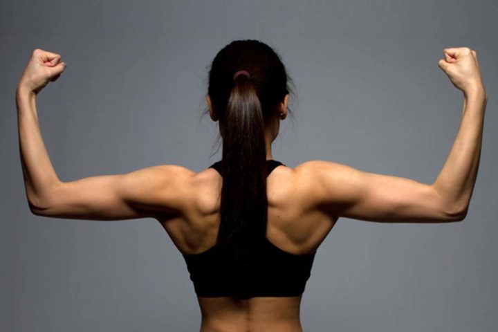 ¿Se pueden definir los músculos?