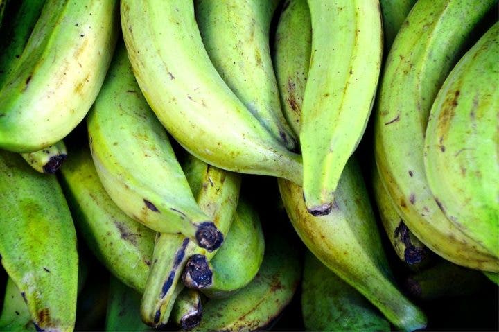 Almidón resistente del plátano verde