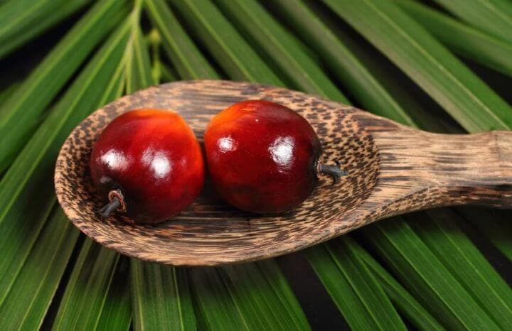 Posibles Beneficios del aceite de palma