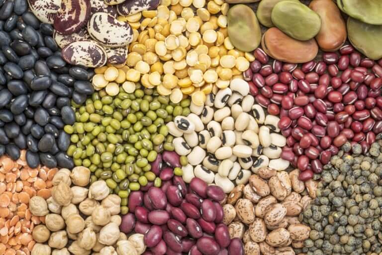Los 10 carbohidratos que cualquier nutricionista te ingerir Los 10 carbohidratos que cualquier nutricionista te ingerir