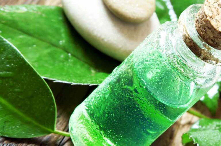 10 usos diarios para el aceite de árbol de té