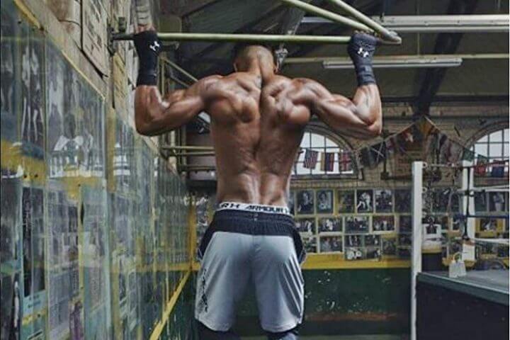 Musculatura multífida de la espalda 