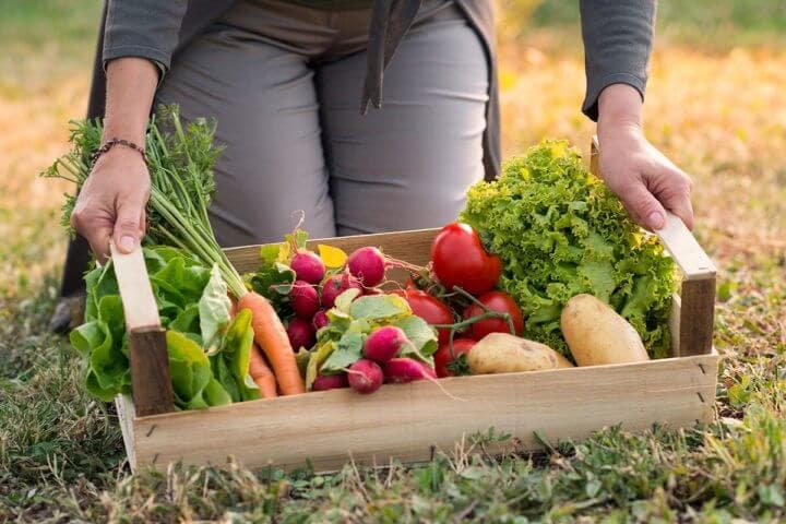 Dieta a base de frutas y verduras frescas