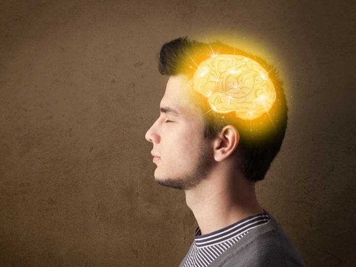 Relación entre estimulos y aprendizaje en el cerebro humano