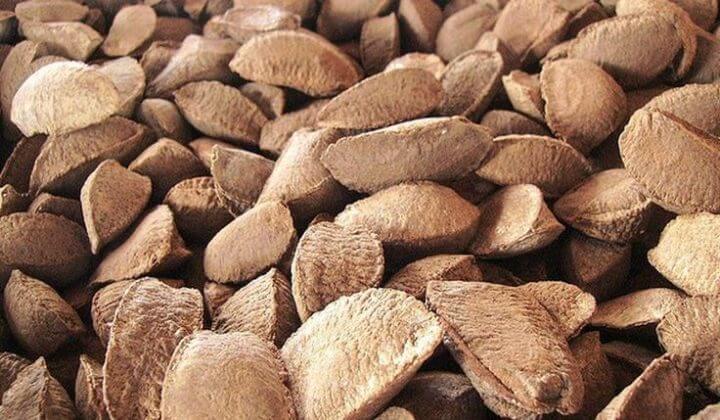 Fortalece tu sistema endocrino e inmunológico con nueces del Brasil