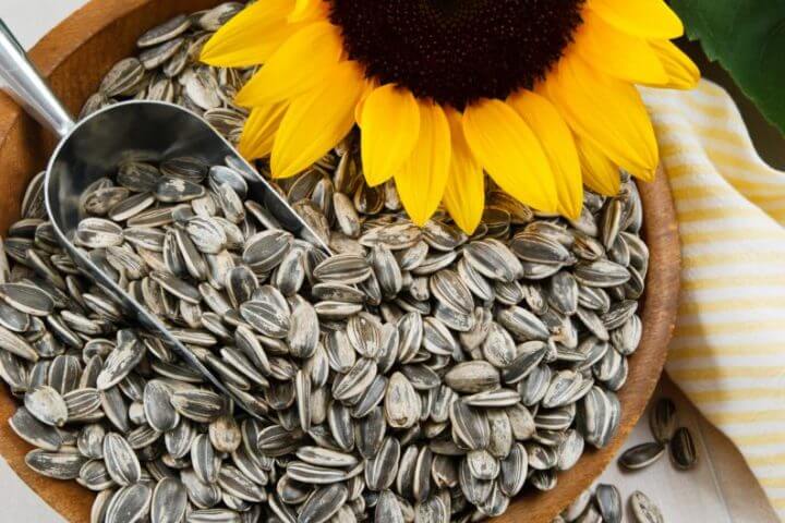 Las semillas de girasol son grasas insaturadas