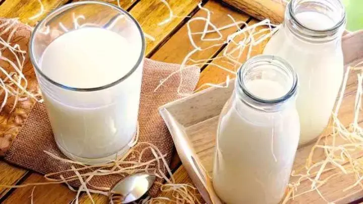 La leche no pasteurizada puede causar intoxicaciones