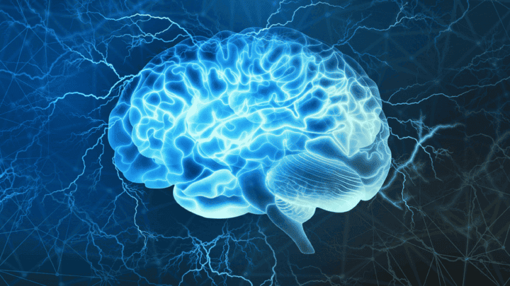 Qu'est-ce que ça fait d'apprendre au cerveau ?