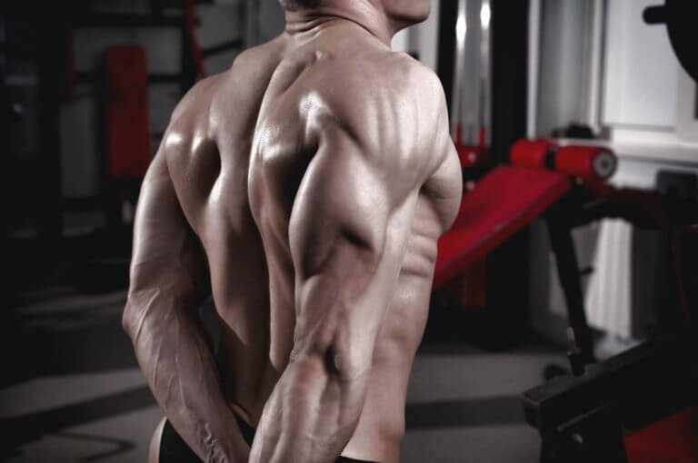 3 ejercicios de tríceps para esculpir tus brazos rápidamente