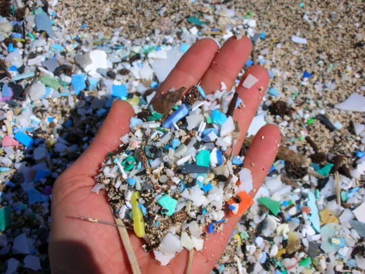 Peligros de los microplásticos presentes en el medio ambiente