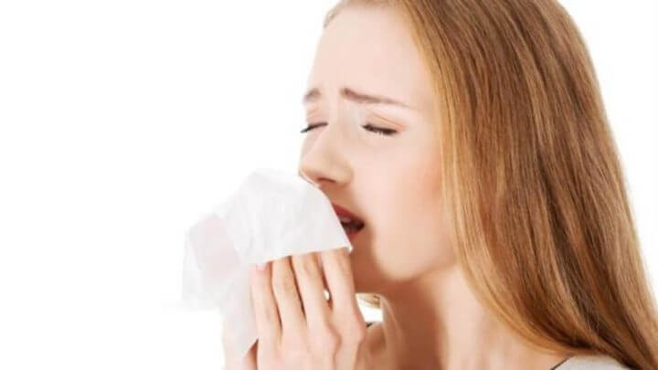 Ventajas probadas del extracto de té verde