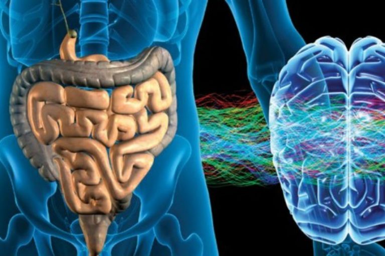 El rol de la nutrición en la conexión entre estómago y cerebro