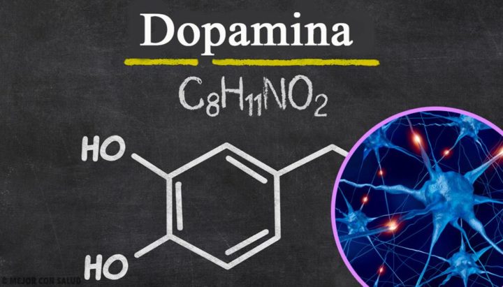 ¿Para qué sirve la dopamina?