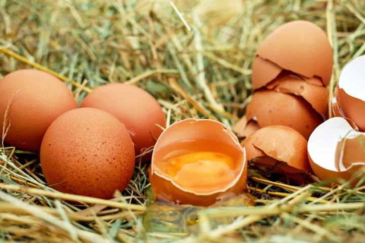El huevo y sus beneficios para la salud
