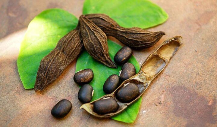 La Mucuna Pruriens puede subir los niveles de dopamina