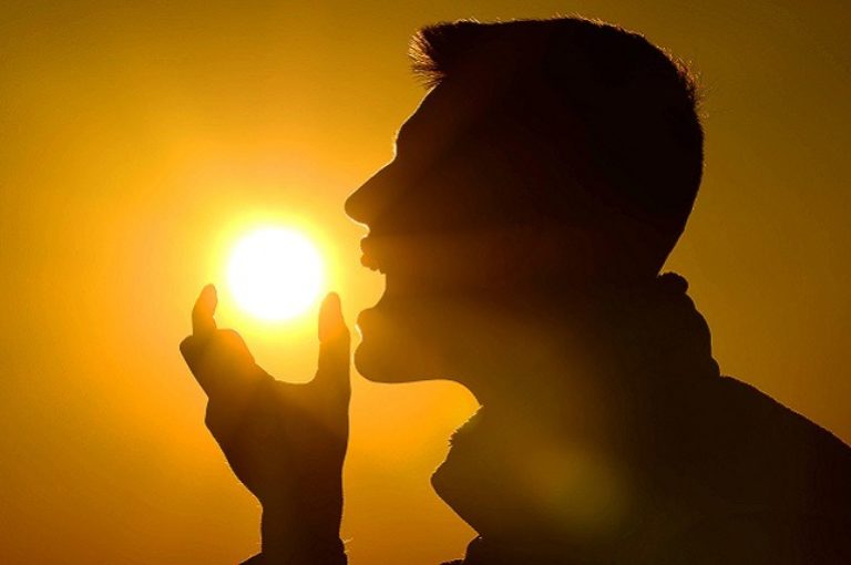 8 alimentos saludables altos en vitamina d
