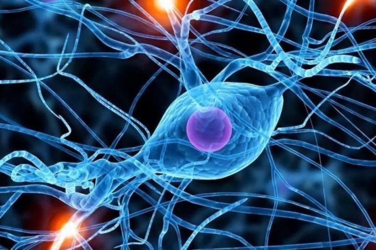 La guía definitiva de los electrolitos