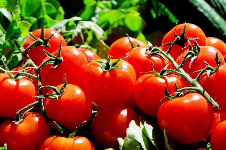 9 alimentos saludables cargados del sabor umami