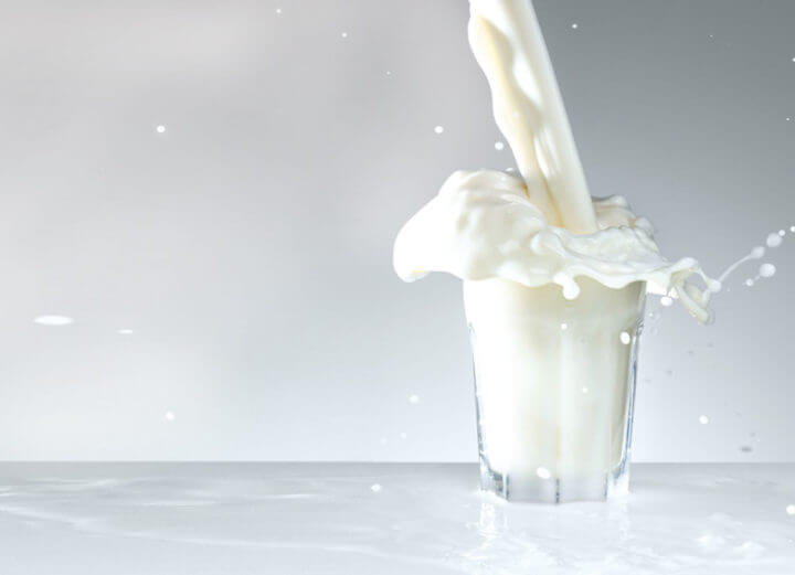 Bacteria Lactobacillus rhamnosus