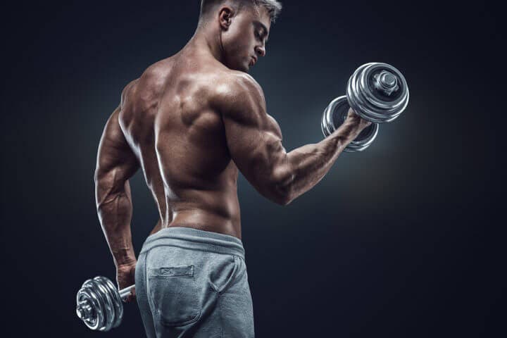 Cuánta proteína es necesaria para ganar masa muscular 