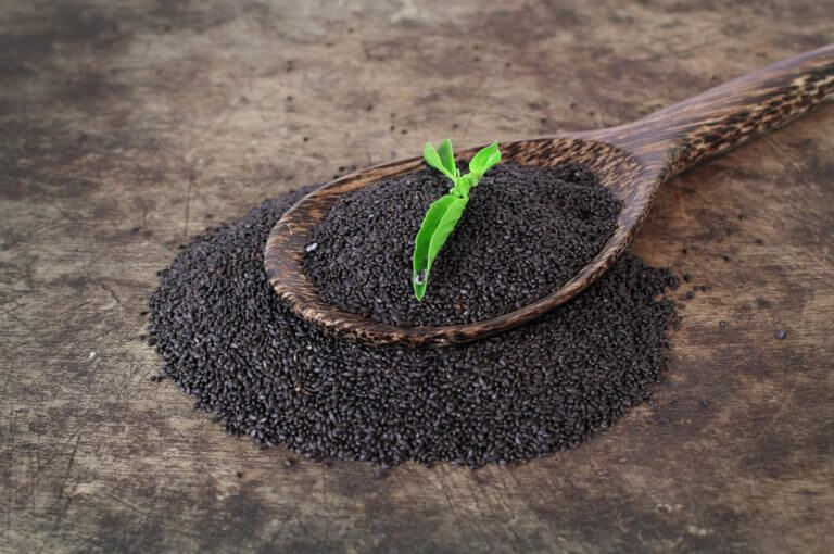 6 beneficios de las semillas de albahaca para la salud