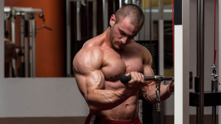 Tamaño muscular del bíceps al entrenar