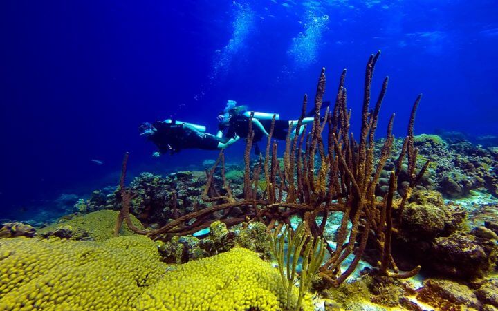 ¿Cuántas calorías se queman con el buceo?