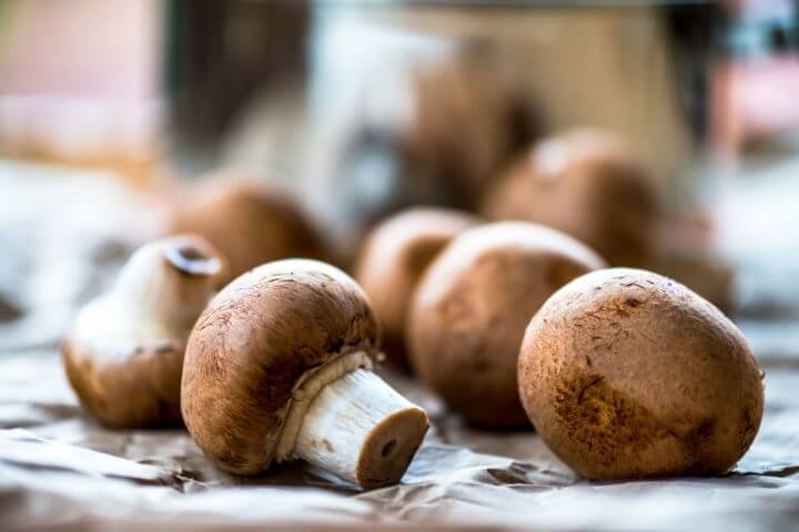 ¿Son comestibles los hongos shiitake?