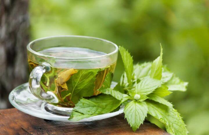 El té de menta tiene propiedades Digestivas